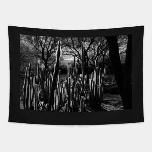 Goal Post Opuntia Tapestry