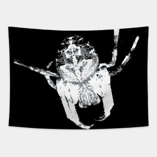 The Orb Weaver in White Tapestry