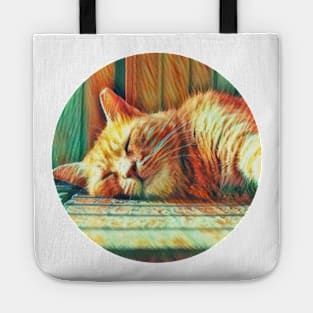 Chubby floppy cat Tote