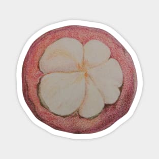 Cute Mangosteen fruit, Thai fruit Magnet