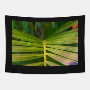 Tropical garden on cloudy day Tapestry