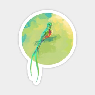 Resplendent Quetzal - digital bird illustration Magnet