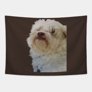 Grumpy Terrier Dog With Long White Hair Covering Eyes Tapestry