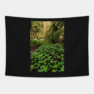 Clovers on the Forest Floor Tapestry