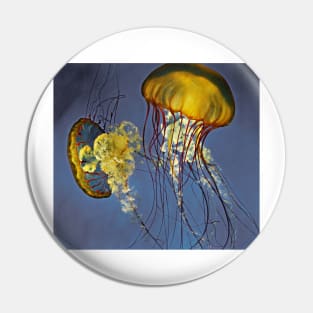 jellies Pin