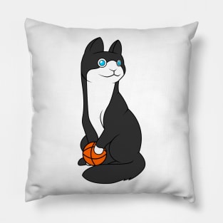 Funny Cat is playing with a ball / gift Pillow