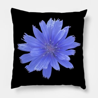 Blue Chicory Flower Pillow