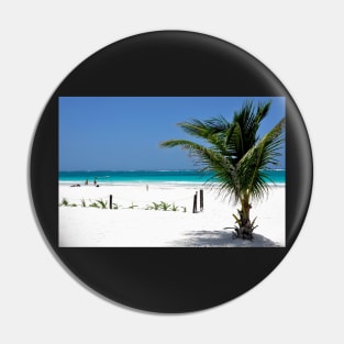 Plage de Tulum, mer des caraibes Mexique Pin