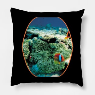 fish, cute fish, free fish, coral fish, fish coral, goldfish, pez, peces, pez colar, peces coral Pillow