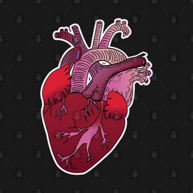 Red Anatomical Heart by tesiamarieart