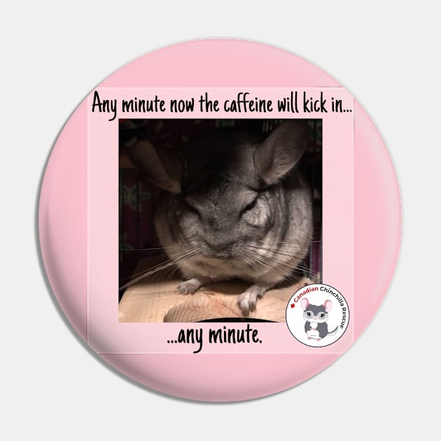 Chinchilla Thoughts Pin by canchinrescue