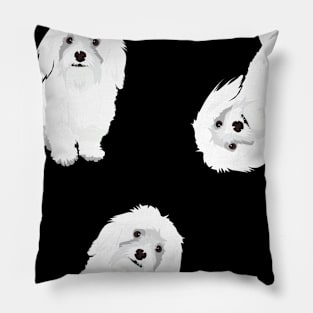 Pattern : Maltese Dogs Pillow