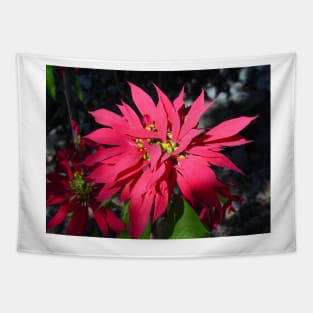 Poinsettia-Buena Noche Tapestry