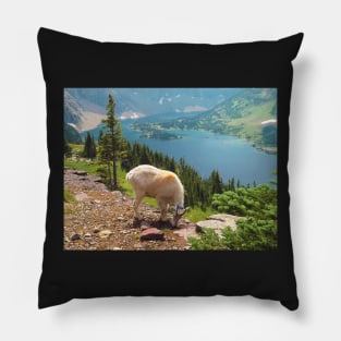 At the Top of the World Pillow