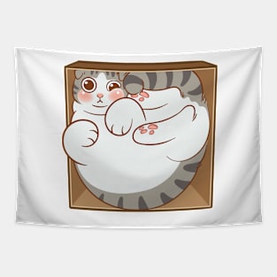 Tabby cat in the box Tapestry