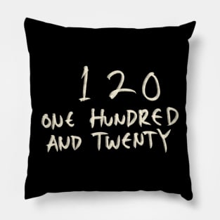 120 Pillow