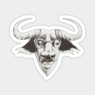Bull's head Magnet