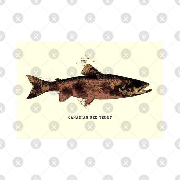 Canadian Red Trout Vintage Art for the Ocean Lovers and Anglers / Gifts for Fisherman by Naumovski