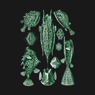 Ernst Haeckel Ostraciontes Fish Green T-Shirt