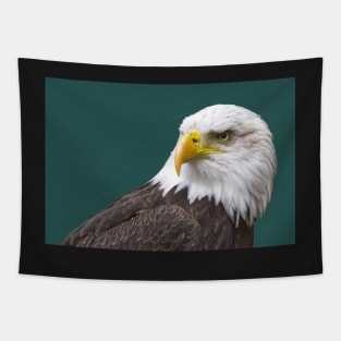 Bald Eagle Tapestry