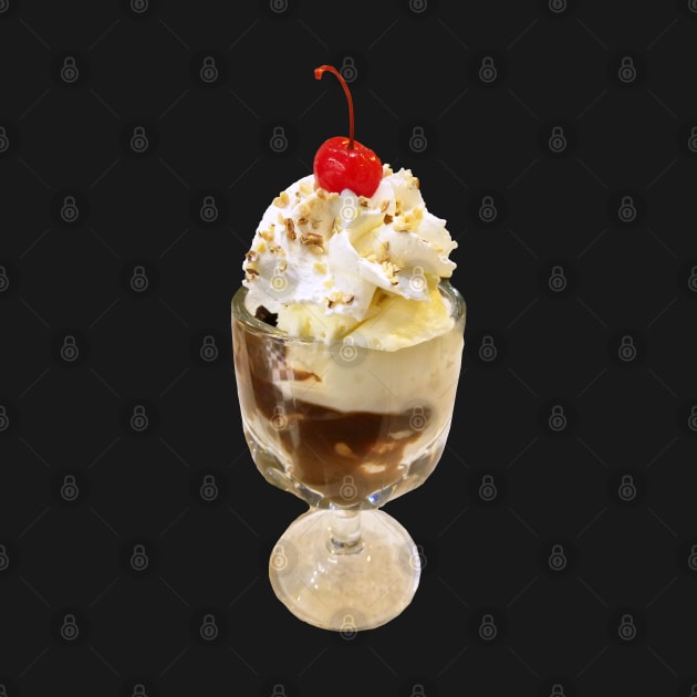 Ice Cream Sundae Photo by bumblefuzzies