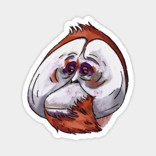 Orangutan Magnet