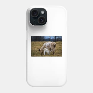 Feeding calf and mother Phone Case