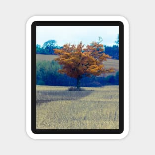 Fall Tree In Field 2 Magnet