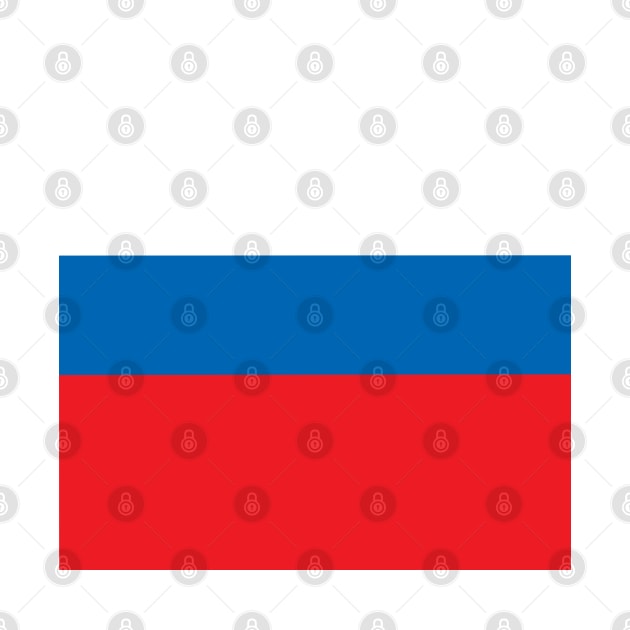 Russia Flag by DetourShirts