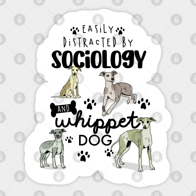 Sociology And Whippet Dog - Sociology Degree Loading - Sticker | TeePublic Sociology And Whippet Dog - Sociology Degree Loading - Sticker | TeePublic