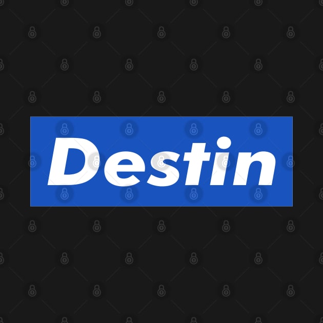 Destin Box Logo by ART BY IIPRATMO