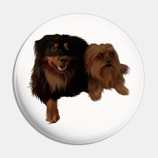 two cute brown puppies-vector art the dog Pin