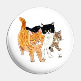 3 cute cats Pin