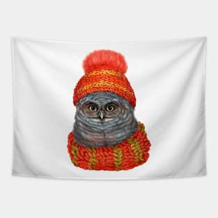 Owl in a hat and scarf. Tapestry