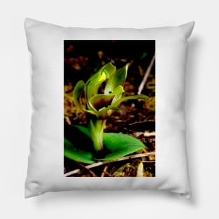 Green Bird Orchid Pillow