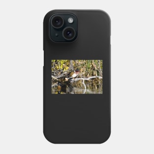 At the Pond Phone Case