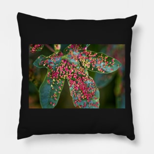 Maple bladder galls Pillow