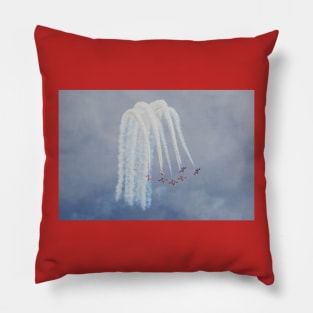 Up and Over: Snowbirds Pillow