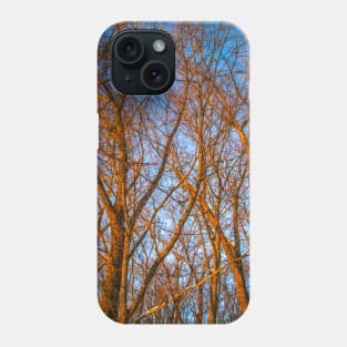 Winter landscape - frosty trees in snowy forest in the sunny morning. Tranquil winter nature in sunlight Phone Case