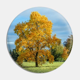 Golden Tree Pin