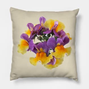 Nemesia Aroma Rhubarb & Custard Aroma Series Pillow