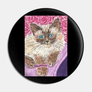 Siamese kitten cat Pin