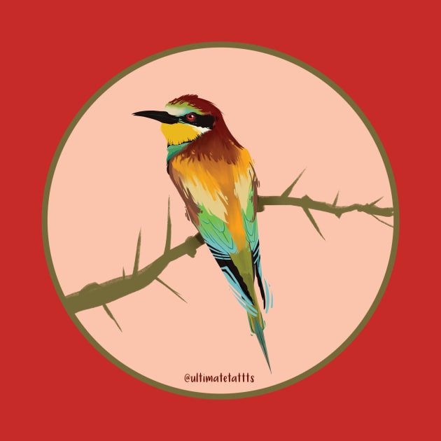 Euroasian Bee Eater by tattts