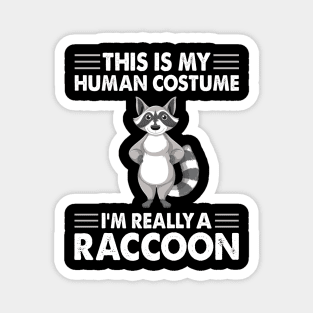 I am really a raccoon Magnet