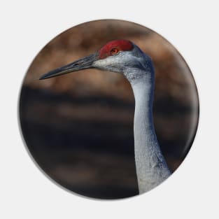 Michigan Sandhill Crane Pin