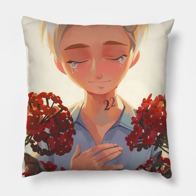 Norman Pillow by aoclover22