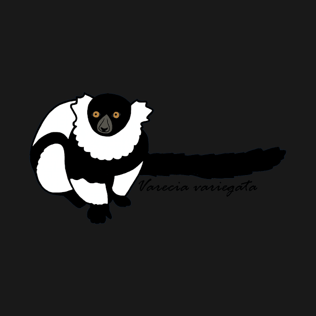 Kizzy B&W Ruffed Lemur w/ Sci name by wildlifeandlove