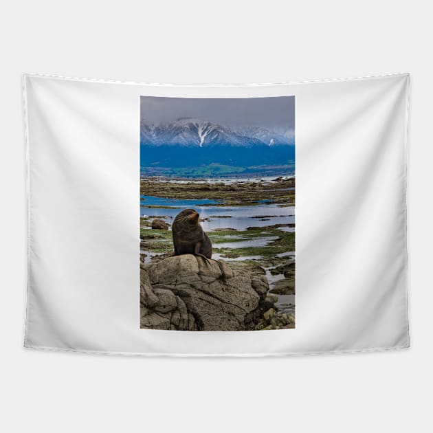 Seal on a Rock Tapestry by fotoWerner