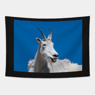 Silly Goat Tapestry