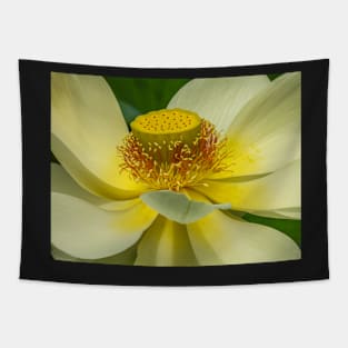 Yellow Lotus Flower display Tapestry